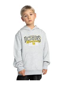 DC Shoes Kinder Hoodie "Tailgate Ph"light erdgrau, Gr. 8, 55% Baumwolle, 25% Baumwolle, 20% Polyester, Sweatshirts