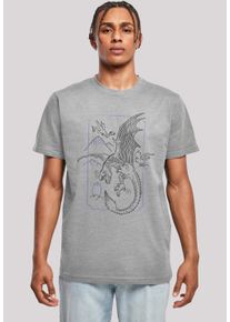 F4NT4STIC Herren T-Shirt "Harry Potter Dragon Line Art", grau, casual, Gr. XXL, Obermaterial: 100% Baumwolle, Shirts, Print