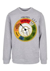 F4NT4STIC Herren Rundhalspullover "F4NT4STIC Herren", grau, casual, Gr. L, unifarben, 50% Baumwolle, 50% Polyester, Pullover