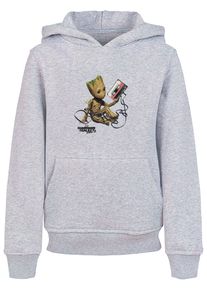 ABSOLUTE CULT Jungen Kapuzensweatshirt "ABSOLUTE CULT Herren", grau, Gr. 122, bedruckt, 65% Baumwolle, 35% Polyester, Sweatshirts