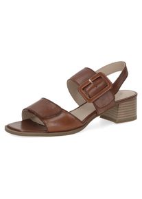 Caprice Damen Sandalette, Gr. 36, braun, Nappaleder, klassisch, Schuhe, Blockabsatz, Riemchensandale, Businessschuh, verstellbarer Schnalle