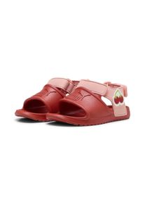 Puma Sandale "Divecat Injex Sandalen Klein Kinder", Gr. 23rot fire pink fruit sea kelp grün, Obermaterial: Synthetik; Futter: Textil; Innensohle: