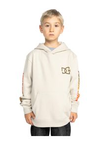 DC Shoes Kinder Hoodie "Hot Box", beige, Gr. 10, 55% Baumwolle, 25% Baumwolle, 20% Polyester, Sweatshirts