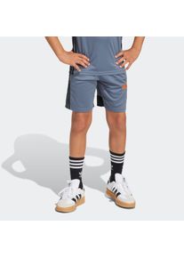 Kinder Trainingsshorts "TIRO ES SHO Y", grau, sportlich, Gr. 164, adidas Performance, Obermaterial: 100% Polyester, Hosen