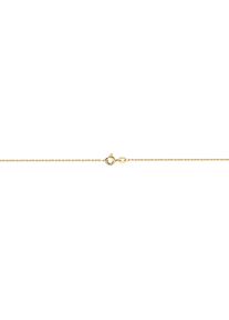Firetti Fußkette "Schmuck Geschenk Gold 333 / 585 Körperschmuck Ankerkette diamantiert", 25, Gelbgold 333, gold, Gelbgold 333, Fußkettchen, Made in