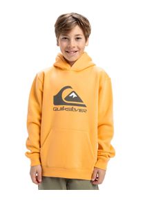 Quiksilver Kinder Hoodie "Big Logo"chamois, Gr. 8, [Hauptstoff] 55% Baumwolle, 45% Polyester, Sweatshirts