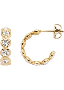 Leonardo Damen Paar Creolen "Ohrringe Cremona, 024338, 024339", Edelstahl, gold, Edelstahl, Ohrringe, mit Zirkonia (synth.)