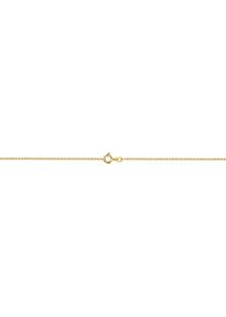 Firetti Fußkette "Schmuck Geschenk Gold 333 oder 585 Körperschmuck Ankerkette rund", 25, Gelbgold 585, gold, Gelbgold 585, Fußkettchen, Made in