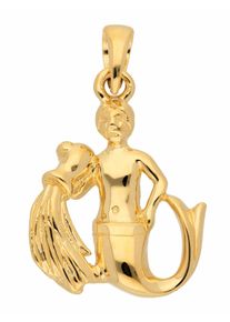 Adelia´s ADELIA ́S Damen Ketten-Anhänger "585 Gold Sternzeichen Anhänger Wassermann", Damen, Wassermann, Gelbgold 585, gold, Gelbgold 585, Schmuckanhänger,