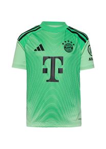 Adidas Fc Bayernmünchen 25-26 Teamtrikot Kinder, Größe: 140