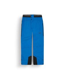 PICTURE PICTURE Object Pants Skihose Men (Gr XL |blau |wasserdicht)