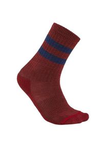 Wandersocken Icebreaker Hike Light Crew Kinder (Gr S |rot)