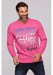 CAMP DAVID Herren Sweater, pink, casual, Gr. XXL, bedruckt, Material: 65% Baumwolle, 35% Polyester, Sweatshirts, mit weicher Innenseite