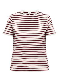 Only CARMAKOMA Damen Kurzarmshirt "CARNEW SOPH SS Y/D STRIPE JEANS TEE JRS"cloud dancer stripes:ruby wine, modisch, Gr. M, gestreift, Jersey,