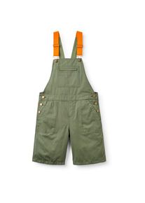 Shorts Passenger Shuffle Short Dungarees Damen (Gr S |oliv)