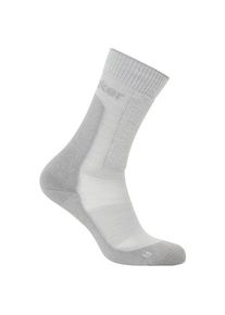 Wandersocken Icebreaker Merino Hike+ Medium Crew Damen (Gr S |grau)