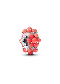 Pandora Charm Moments 793897C01