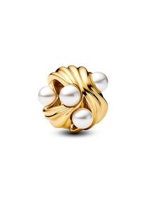 Pandora Charm Moments 763915C01