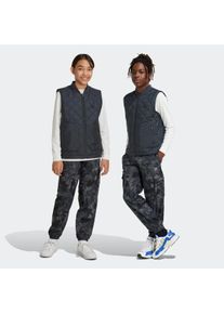 Kinder Sporthose "CARGO PANTS", grau, sportlich, Gr. 164, adidas originals, Obermaterial: 100% Polyester, Hosen