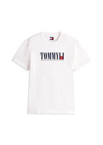 Tommy Jeans Herren T-Shirt "TJM REG TOMMY DNA FLAG TEE EXT", beige, casual, Gr. XXXL, Single Jersey, Obermaterial: 100% Baumwolle, Shirts