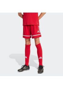 Kinder Trainingsshorts "SQUA25 SHO Y"team power rot 2, team power rot 2, weiß, sportlich, Gr. 176, adidas Performance, Obermaterial: 100% Polyester,