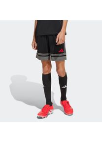 Kinder Trainingsshorts "SQUA25 SHO Y"schwarz, team grau four, pure ruby, sportlich, Gr. 164, adidas Performance, Obermaterial: 100% Polyester, Hosen