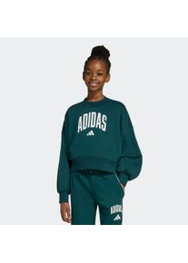Kinder Sweatshirt "JG CLGT FT SWT"aurora ivy, weiß, sportlich, Gr. 128, adidas Sportswear, Obermaterial: 70% Baumwolle, 30% Polyester, Sweatshirts