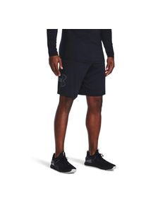 Under Armour Herren Shorts "UA Tech Shorts mit Grafik", schwarz, sportlich, Gr. XXXL, Obermaterial: 100% Polyester, Hosen