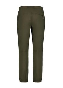 Icepeak Herren Stretch-Hose "H OUTDOORHOSE MILNOR", grün, sportlich, Gr. 52, Obermaterial: 95% Polyamid, 5% Elasthan, Hosen