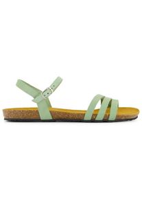 Plakton Mam Alou Damen (Gr 42 |bunt)
