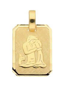 Adelia´s ADELIA ́S Damen Ketten-Anhänger "333 Gold Sternzeichen Anhänger Wassermann", Wassermann, Gold, gold, Gold, Schmuckanhänger, Goldschmuck für Damen &