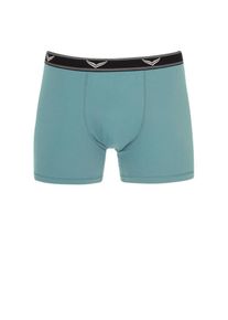 TRIGEMA Herren Boxer "TRIGEMA Bequeme Pants mit Webgummibund", Gr. M, grün, 95% Baumwolle, 5% Elastan, Unterhosen