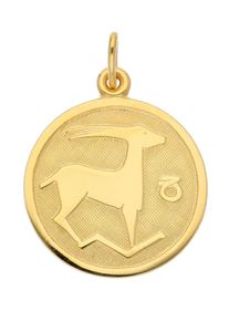 Adelia´s ADELIA ́S Damen Ketten-Anhänger "333 Gold Sternzeichen Anhänger Steinbock Ø 16 mm", Steinbock, Gold, gold, Gold, Schmuckanhänger, Goldschmuck für