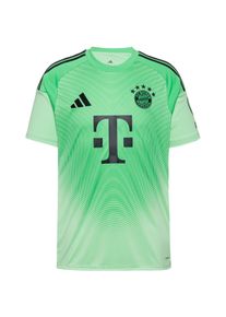 Adidas Fc Bayernmünchen 25-26 Teamtrikot Herren, Größe: S