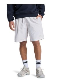 Quiksilver Herren Shorts "The Pipe Beach 19"", beige, Gr. XXL, 100% Baumwolle, Hosen
