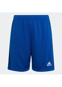 Kinder Trainingsshorts "ENT22 SHO Y", blau, sportlich, Gr. 128, adidas Performance, Obermaterial: 100% Polyester, Hosen