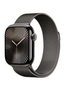 Apple Watch Series 10 42mm Cellular Milanaise-Armband schiefer Titangehäuse schiefer