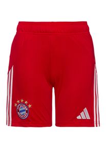 Adidas Fc Bayernmünchen 25-26 Heim Fußballshorts Kinder - rot - Gr. 152