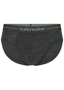 Skiunterw&auml;sche Icebreaker Anatomica Briefs Herren (Gr S |grau)