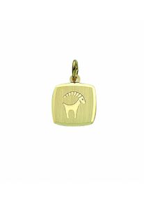 Adelia´s ADELIA ́S Damen Ketten-Anhänger "Damen & Herren 333 Gold Sternzeichen Anhänger Steinbock", Damen, Steinbock, Gelbgold 333-Gold, gold, Gelbgold 333,