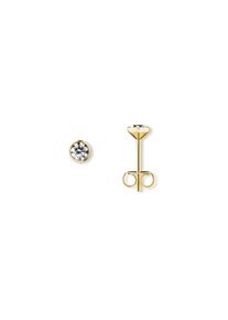 ONE ELEMENT Damen Paar Ohrhänger "Zirkonia Ohrringe Ohrstecker aus 333 Gelbgold", Damen, Gelbgold 333-Gold, gold, Gelbgold 333, Gold, Ohrringe, für