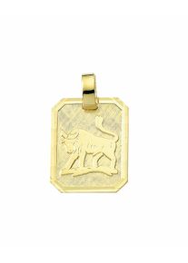 Adelia´s ADELIA ́S Damen Ketten-Anhänger "Damen & Herren 333 Gold Sternzeichen Anhänger Stier", Damen, Stier, Gelbgold 333-Gold, gold, Gelbgold 333, Gold,