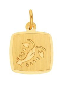 Adelia´s ADELIA ́S Damen Ketten-Anhänger "333 Gold Sternzeichen Anhänger Krebs", Krebs, Gold, gold, Gold, Schmuckanhänger, Goldschmuck für Damen & Herren