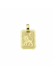 Adelia´s ADELIA ́S Damen Ketten-Anhänger "Damen & Herren 333 Gold Sternzeichen Anhänger Löwe", Damen, Löwe, Gelbgold 333-Gold, gold, Gelbgold 333, Gold,