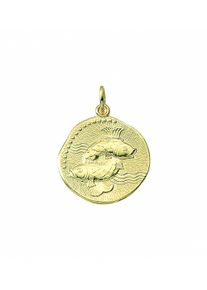 Adelia´s ADELIA ́S Damen Ketten-Anhänger "Damen & Herren 333 Gold Sternzeichen Anhänger Fisch Ø 18,2 mm", Damen, Fische, Gelbgold 333-Gold, gold, Gelbgold 333,