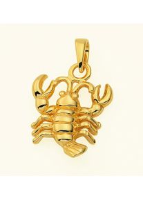 Adelia´s ADELIA ́S Damen Ketten-Anhänger "Damen & Herren 585 Gold Sternzeichen Anhänger Krebs", Damen, Krebs, Gelbgold 585-Gold, gold, Gelbgold 585, Gold,
