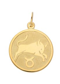 Adelia´s ADELIA ́S Damen Ketten-Anhänger "333 Gold Sternzeichen Anhänger Stier", Stier, Gold, gold, Gold, Schmuckanhänger, Goldschmuck für Damen & Herren