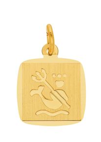Adelia´s ADELIA ́S Damen Ketten-Anhänger "333 Gold Sternzeichen Anhänger Wassermann", Wassermann, Gold, gold, Gold, Schmuckanhänger, Goldschmuck für Damen &