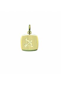 Adelia´s ADELIA ́S Damen Ketten-Anhänger "Damen & Herren 333 Gold Sternzeichen Anhänger Schütze", Damen, Schütze, Gelbgold 333-Gold, gold, Gelbgold 333, Gold,
