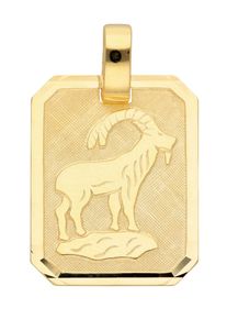 Adelia´s ADELIA ́S Damen Ketten-Anhänger "333 Gold Sternzeichen Anhänger Steinbock", Steinbock, Gold, gold, Gold, Schmuckanhänger, Goldschmuck für Damen &